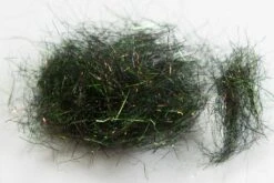 Arizona Diamond Dub Dubbing