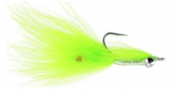 Denbow's Wooly Mantis Shrimp