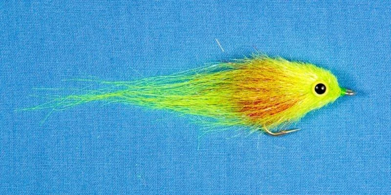 EP A2Z Minnow - Image 3