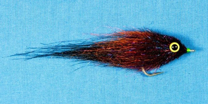 EP A2Z Minnow - Image 2