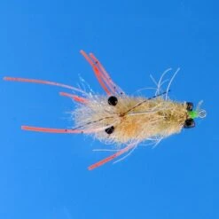 EP Mantis Shrimp Tan #1