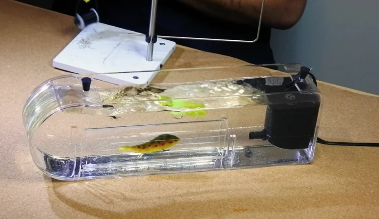 Flymen Fly Tester 2020 Edition