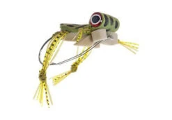 Freaky Frog Size 2
