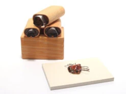 Mangrove Crab Foam Body Cutters Complete Set Of 3