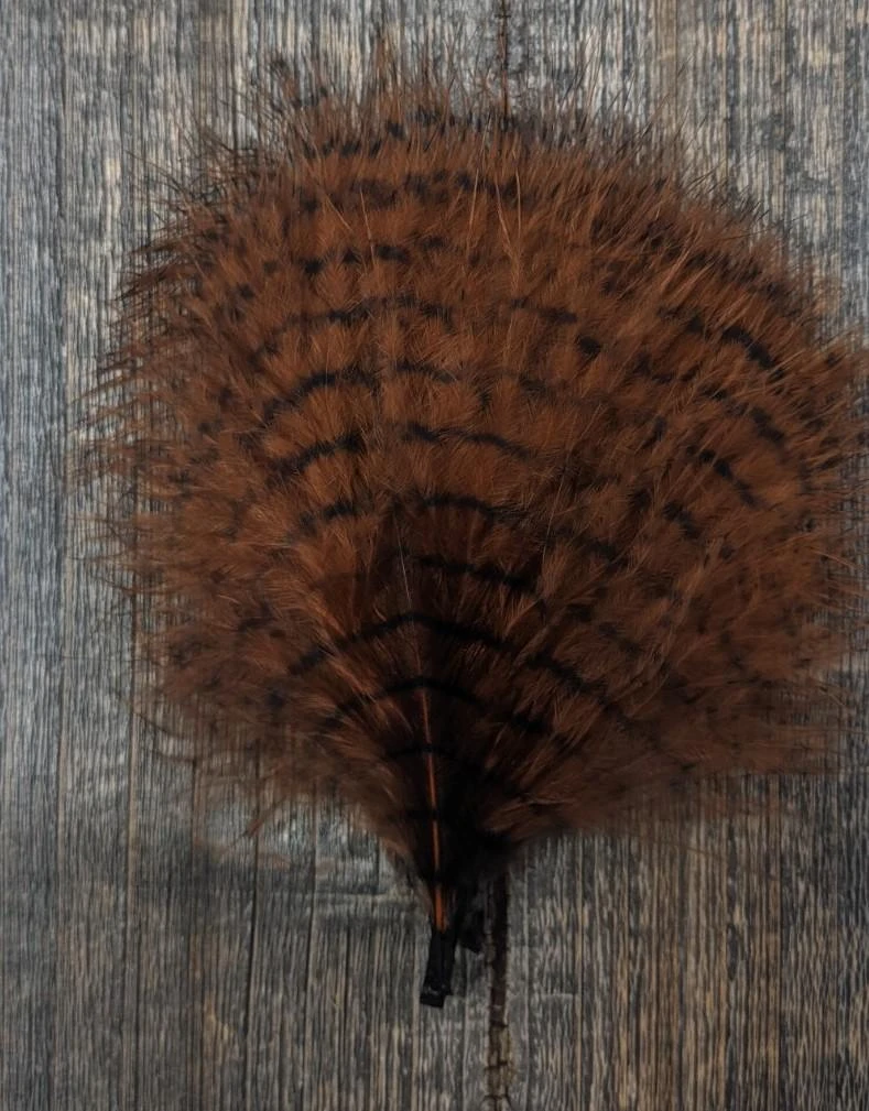 MFC Fine Barred Marabou - Image 4