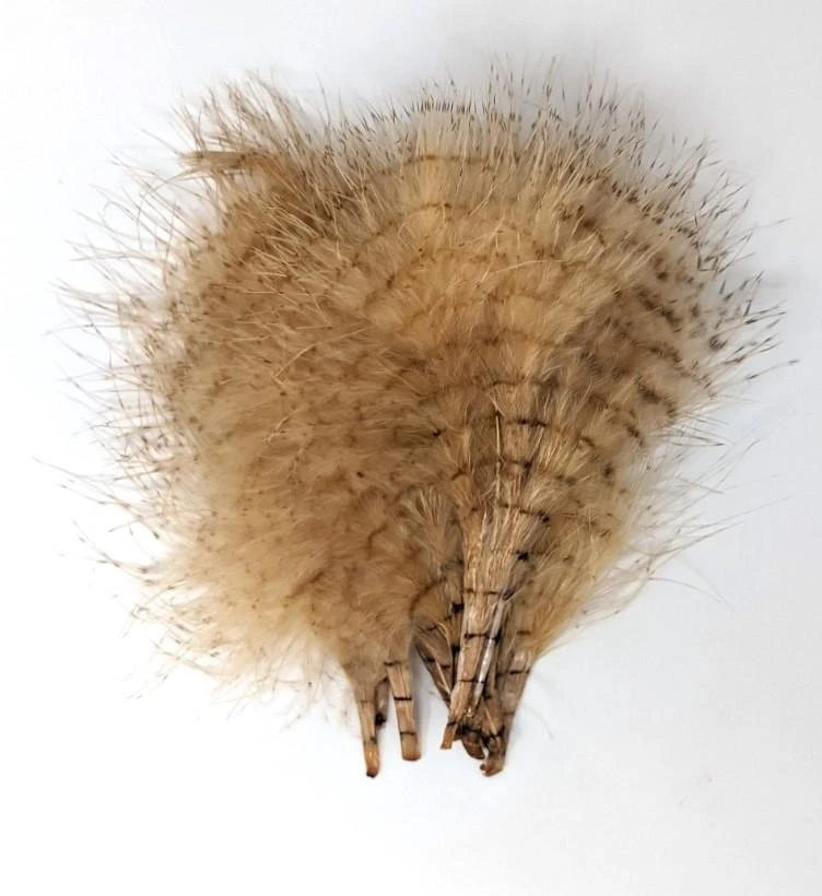 MFC Fine Barred Marabou - Image 7