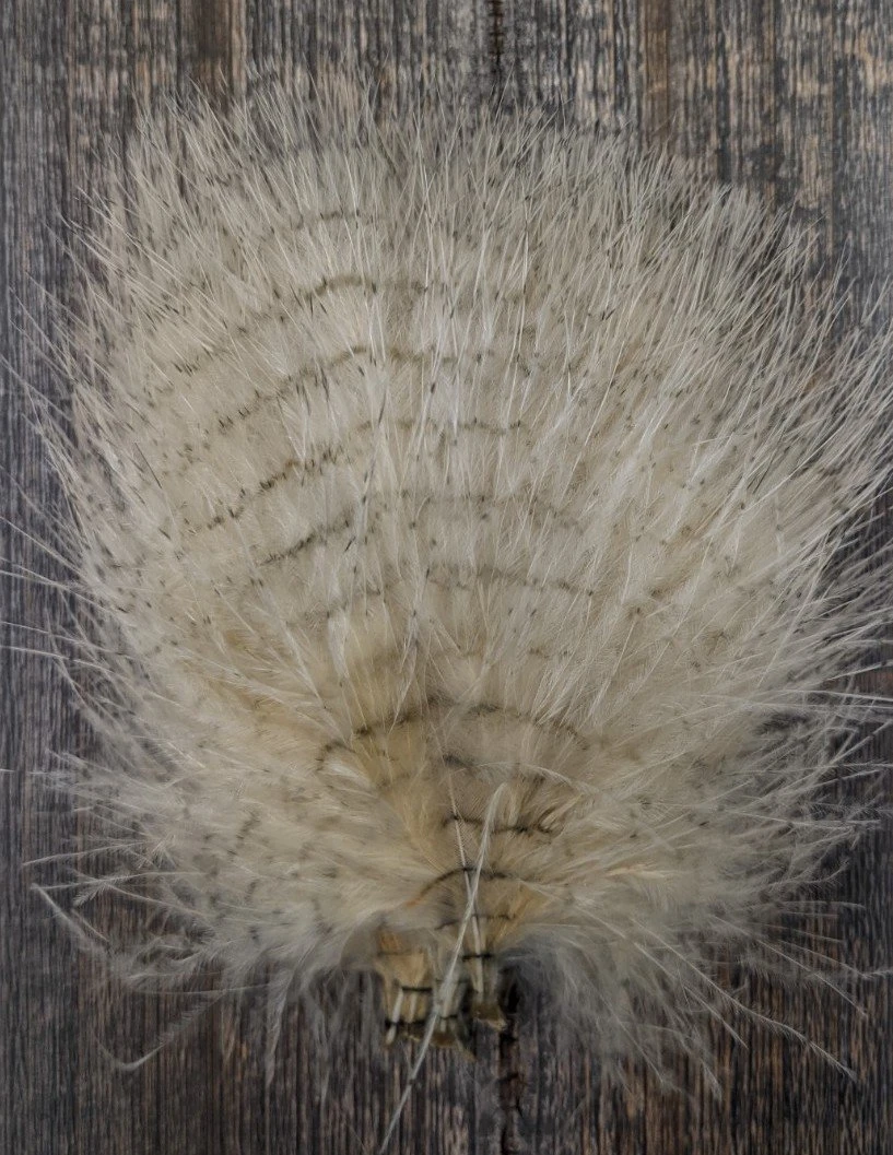 MFC Fine Barred Marabou - Image 8