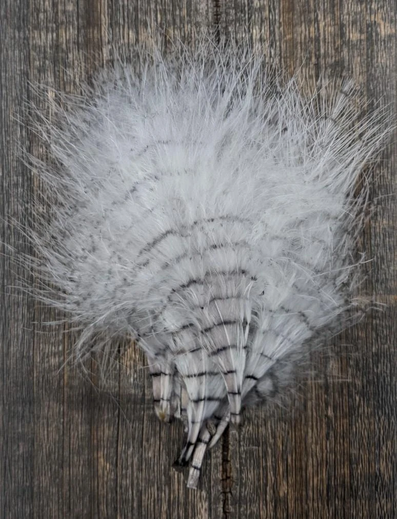 MFC Fine Barred Marabou - Image 9
