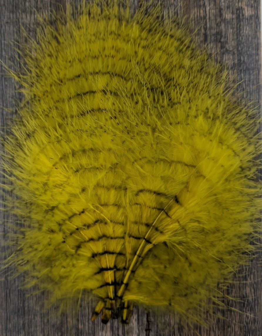 MFC Fine Barred Marabou - Image 10