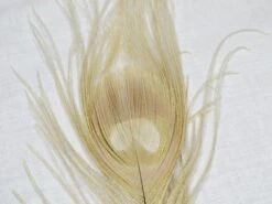 Nature's Spirit Dyed Peacock Sticks