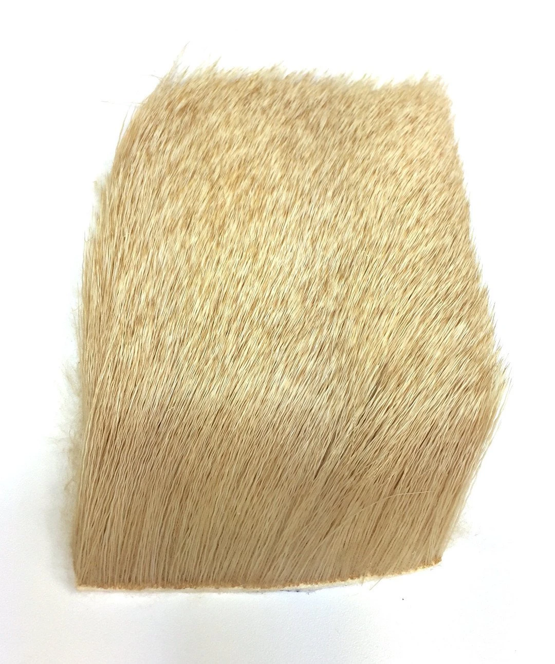 Nature's Spirit Select Cow Elk 3" X 4" - Image 3