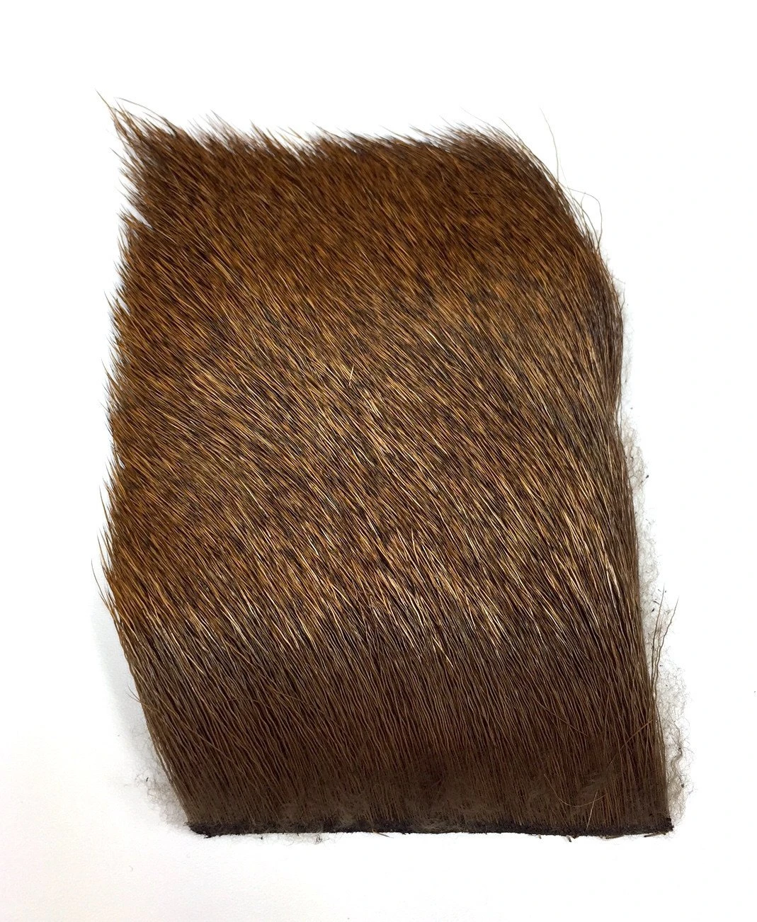 Nature's Spirit Select Cow Elk 3" X 4" - Image 5