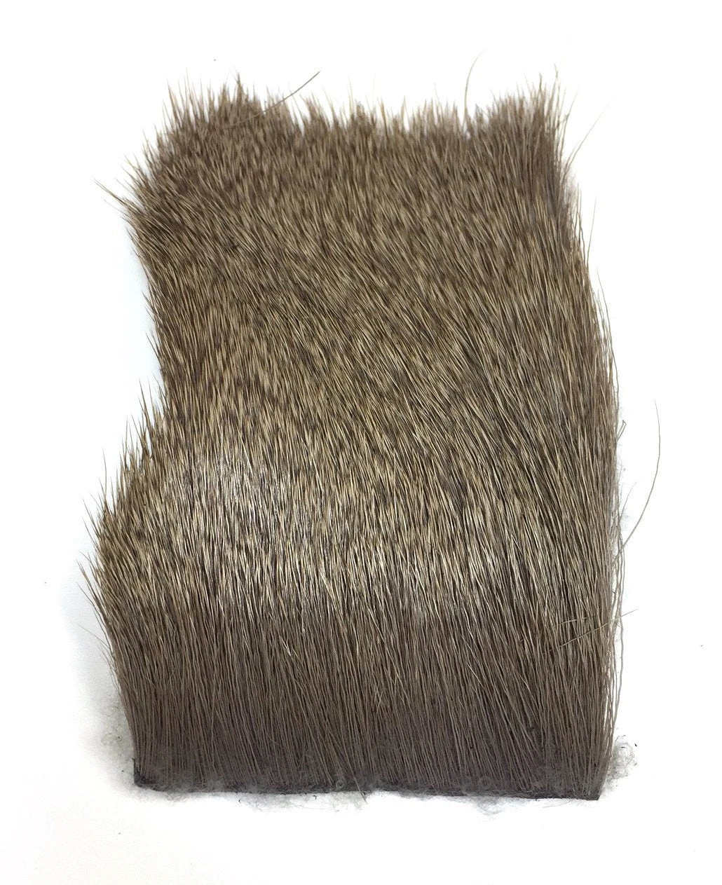 Nature's Spirit Select Cow Elk 3" X 4" - Image 4