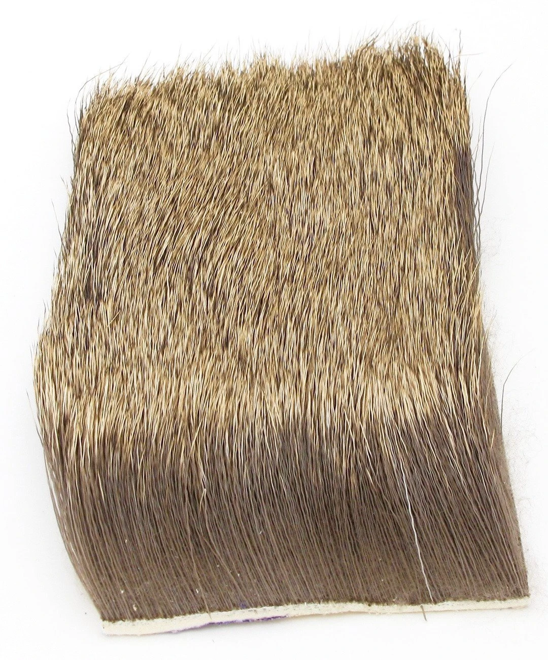 Nature's Spirit Select Cow Elk 3" X 4"