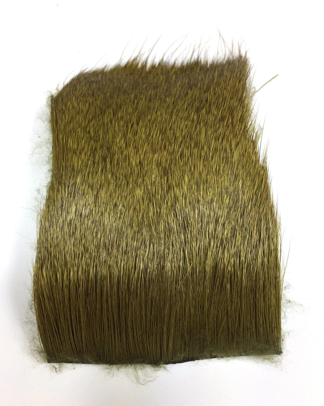 Nature's Spirit Select Cow Elk 3" X 4" - Image 7