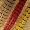 Nature's Sprit Ringneck Pheasant Center Tails