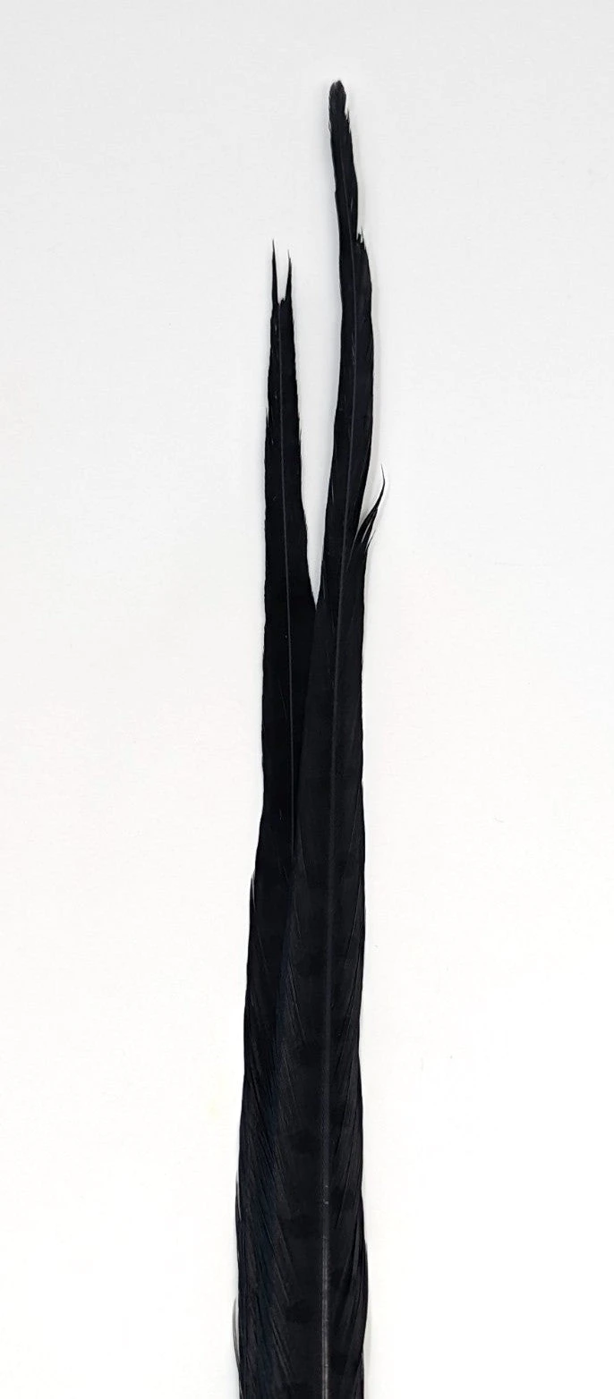 Nature's Sprit Ringneck Pheasant Center Tails - Image 15