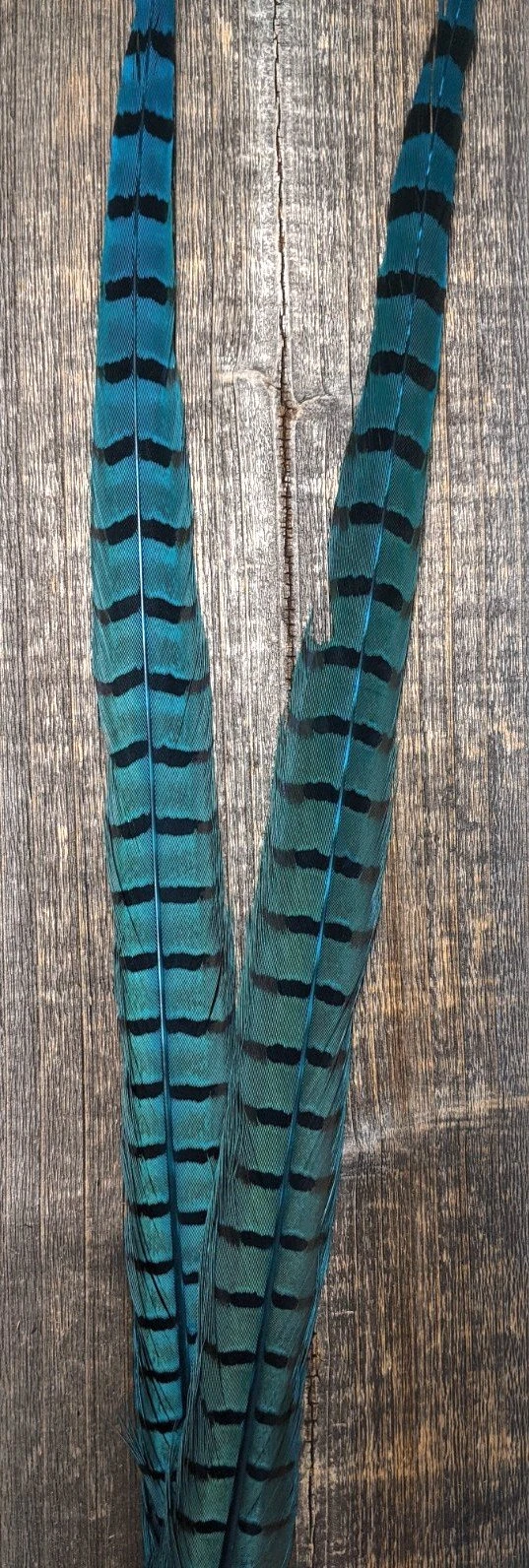 Nature's Sprit Ringneck Pheasant Center Tails - Image 11