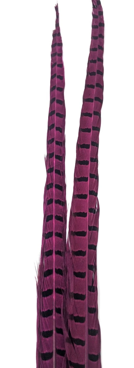 Nature's Sprit Ringneck Pheasant Center Tails - Image 13