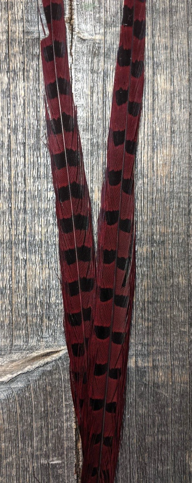 Nature's Sprit Ringneck Pheasant Center Tails - Image 2