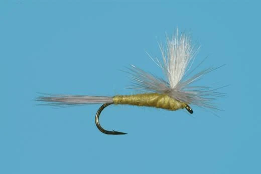 Parachute Pale Morning Dun