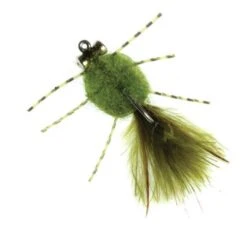 Rag Head Crab Olive #6