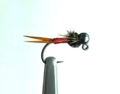 Tungsten Jig Red Copper John Nymph 14