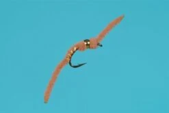 Tungsten San Juan Worm