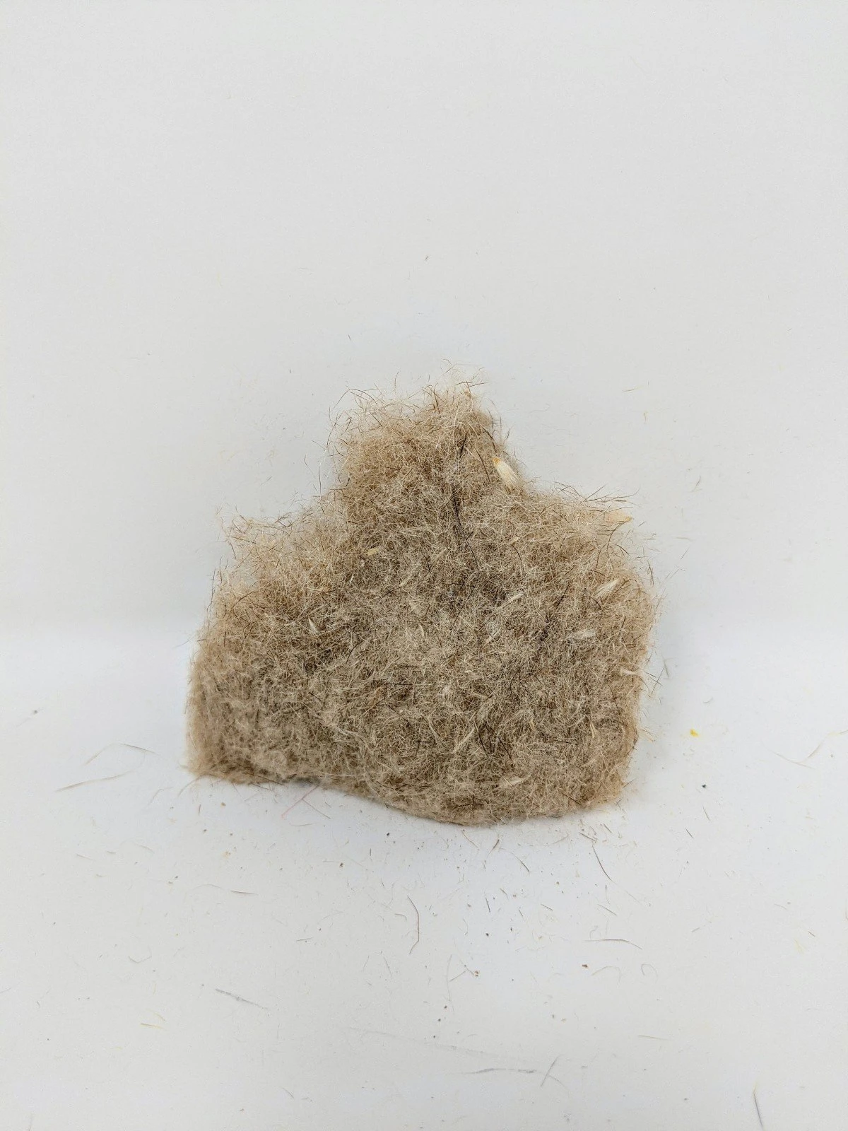 UV Tracer Squirrel Dubbing - Image 5