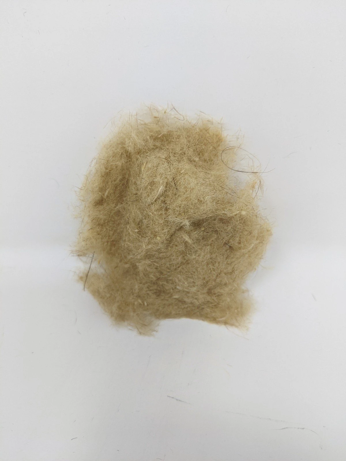 UV Tracer Squirrel Dubbing - Image 15