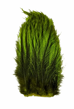 Whiting Tailing Pack Dyed Pardo